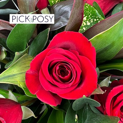 6-half-dozen-freedom-red-roses-bouquet-valentines-day-delivered-strood-rochester-medway-kent