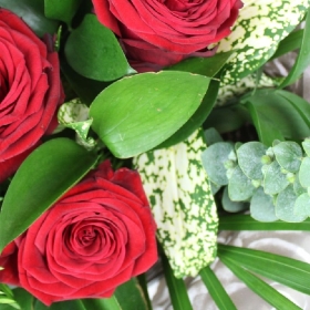 six-half-a-dozen-red-roses-handtie-bouquet-flowers-strood-rochester-medway-kent