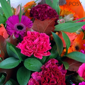 pumpkin-spice-handtie-bouquet-aqua-packedautumn-flowers-delivery-strood-rochester-medway-kent