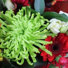 crimson-forest-handtie-aquapacked-bouquet-autumn-delivery-flowers-strood-rochester-medway-kent